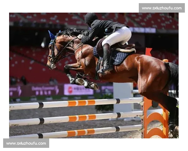 19 队逐鹿！齐鲁英雄会・2025 鲁男篮联赛德州平原燃启